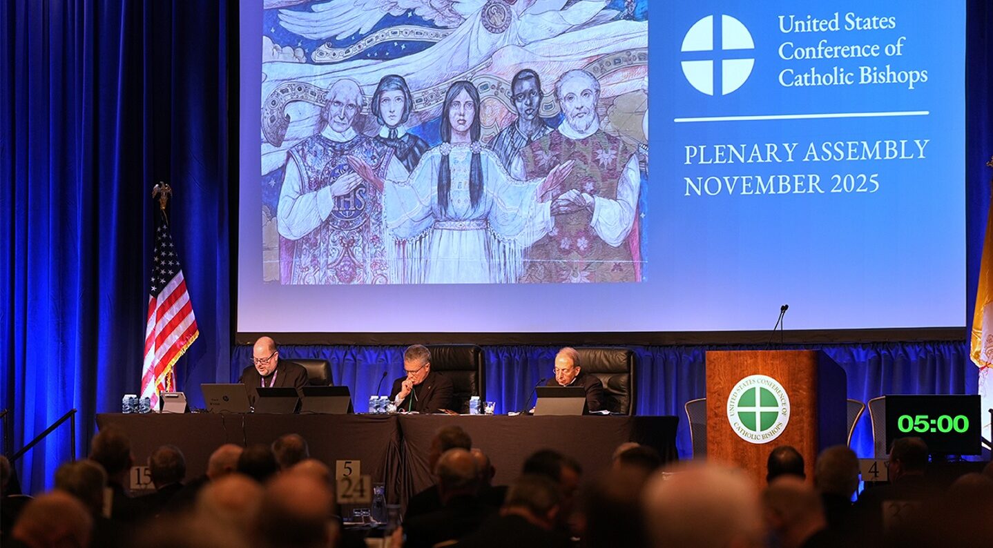 US Catholic bishops vote to officially prohibit gender transition treatment at Catholic hospitals