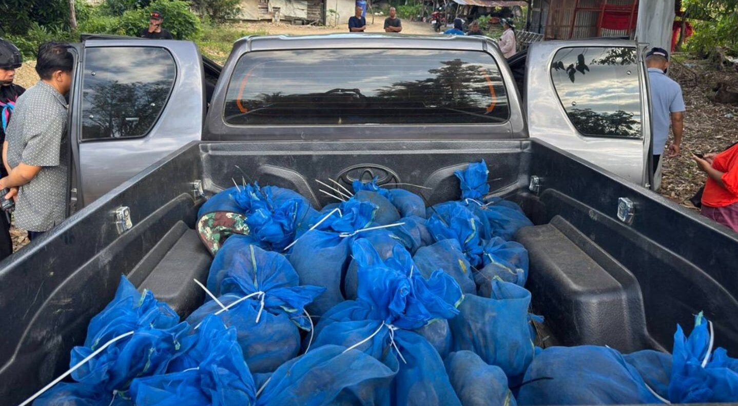 Two men caught with 81 monkeys stuffed in bags and meth in wildlife smuggling ring, authorities say